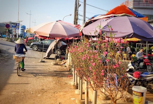 Dự báo thời tiết ngày 31/1/2019: Bắc Bộ nắng 27 độ C