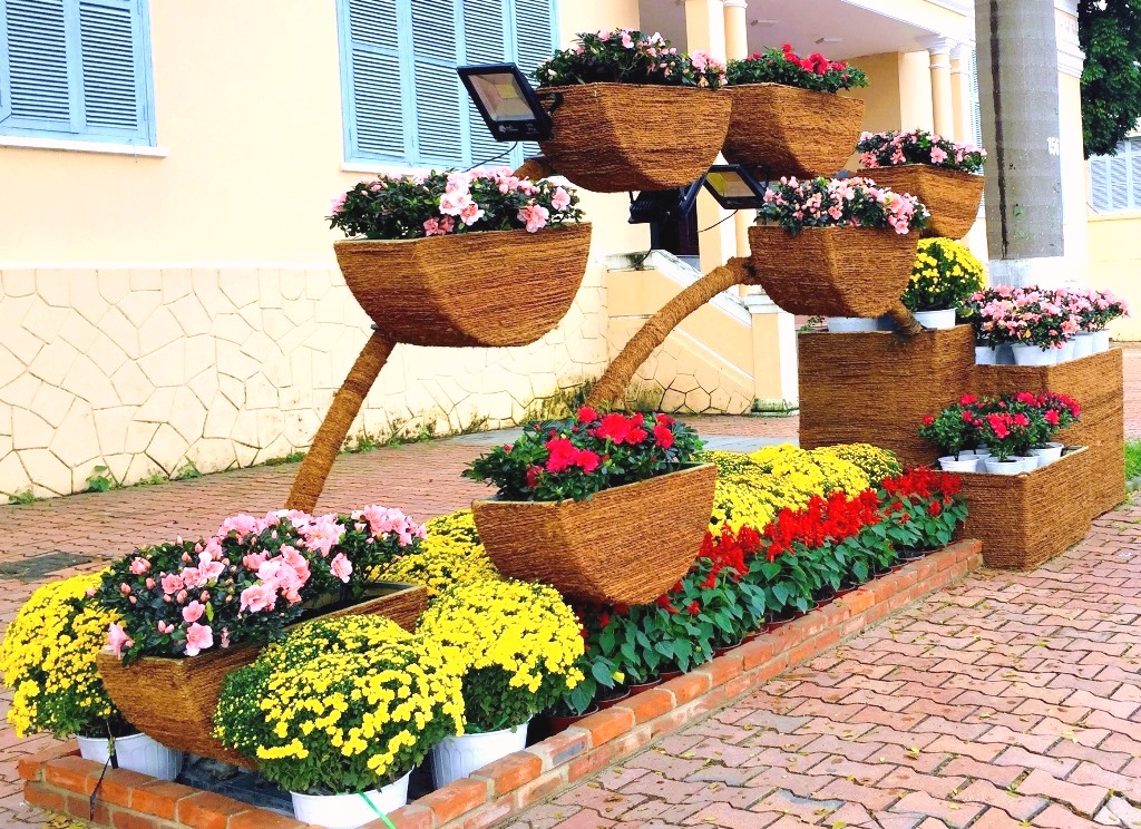 Sắc xuân bên bờ sông Hàn - Hình 4