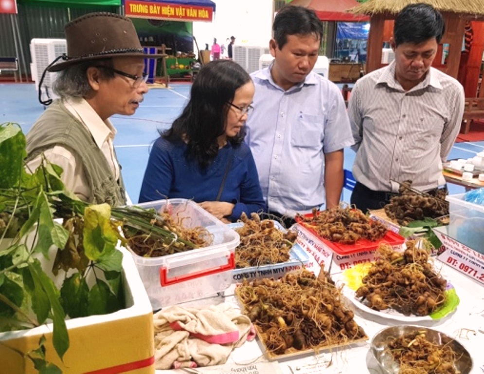 Huyện Nam Trà My - Quảng Nam: Phiên chợ sâm Ngọc Linh giáp Tết thu gần 5 tỷ đồng