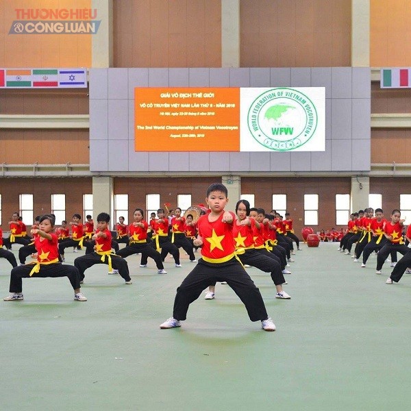 Liên đoàn võ thuật cổ truyền Việt Nam: Gìn giữ, tôn vinh, lan tỏa giá trị võ cổ truyền - Hình 13