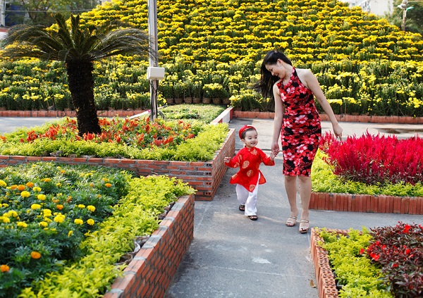 Dự báo thời tiết ngày mùng 2 Tết: Cả 3 miền nắng đẹp