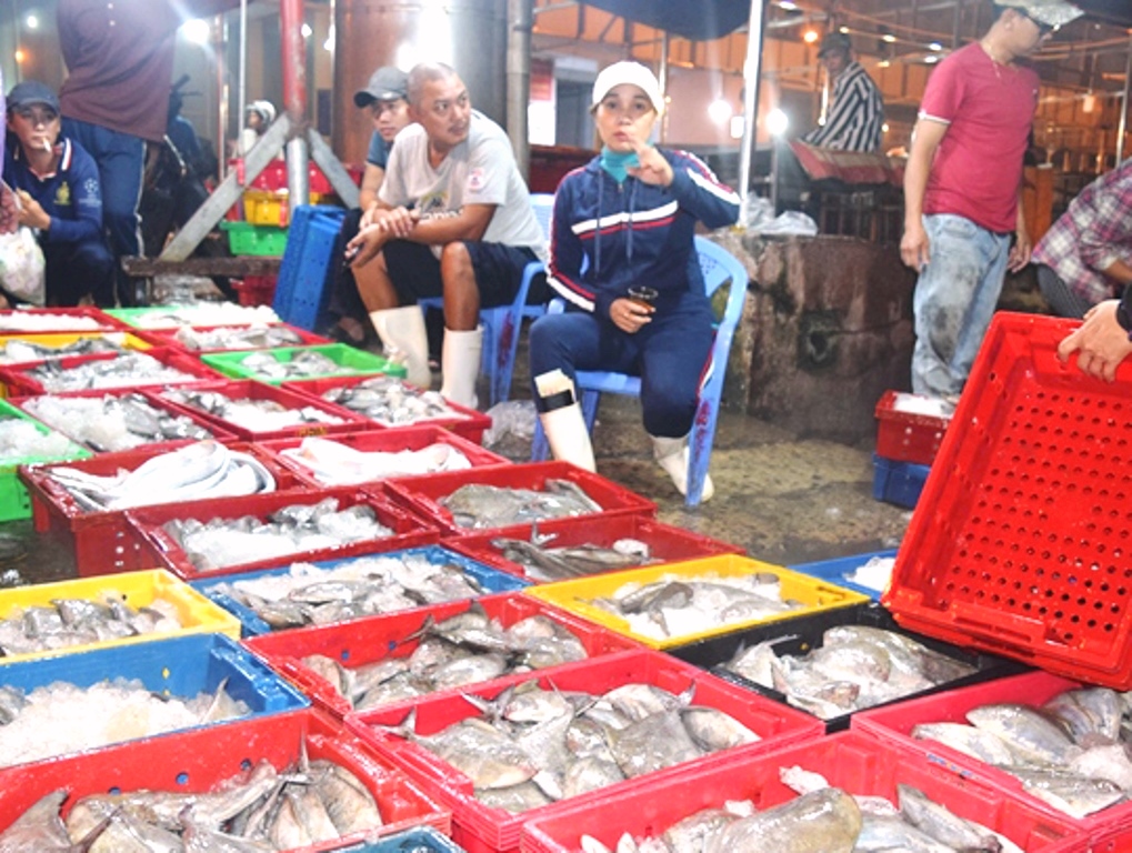 Đà Nẵng: Ngư dân được mùa cá chim - Hình 1