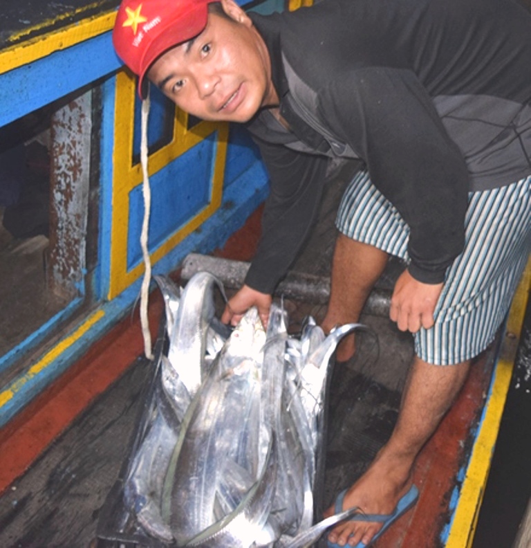 Đà Nẵng: Ngư dân được mùa cá chim - Hình 2