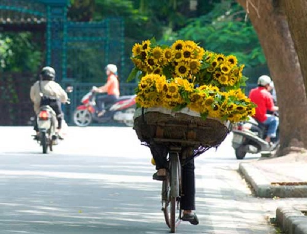 Dự báo thời tiết ngày 10/2/2019: Bắc Bộ oi nóng trước khi đón không khí lạnh