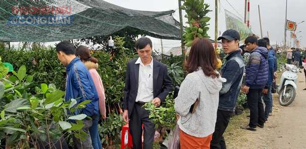 Nam Định: Chợ Viềng vắng du khách ngày Khai hội - Hình 2