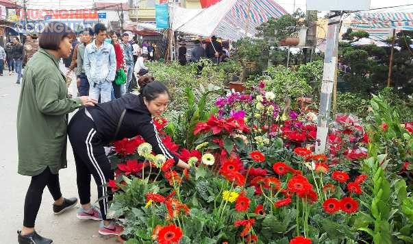 Nam Định: Chợ Viềng vắng du khách ngày Khai hội - Hình 2