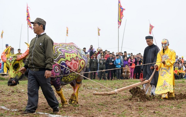 Phó Thủ tướng xuống ruộng, đi cày ở Lễ hội Tịch Điền 2019