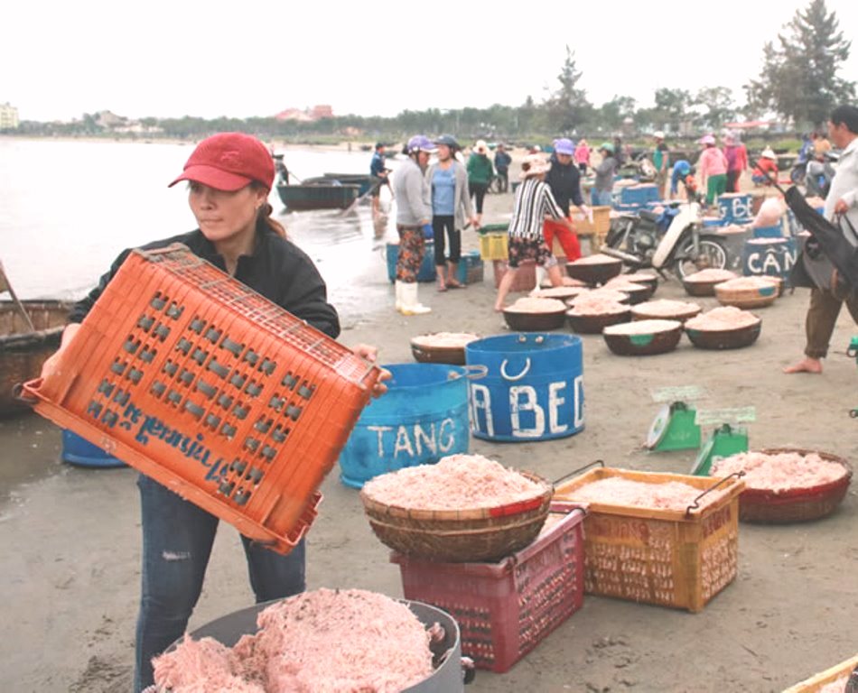 Ngư dân Đà Nẵng bội thu mùa ruốc đầu năm - Hình 1