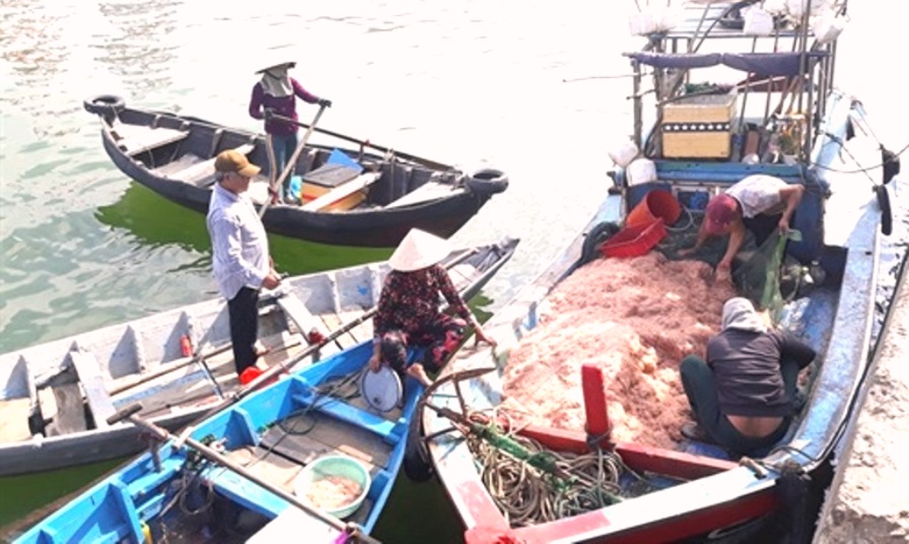 Quảng Ngãi-Bình Định: Ngư dân bội thu lộc biển đầu năm - Hình 2