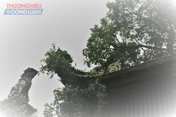 Chùa Mía – vẻ đẹp cổ kính của làng Đường Lâm - Hình 12