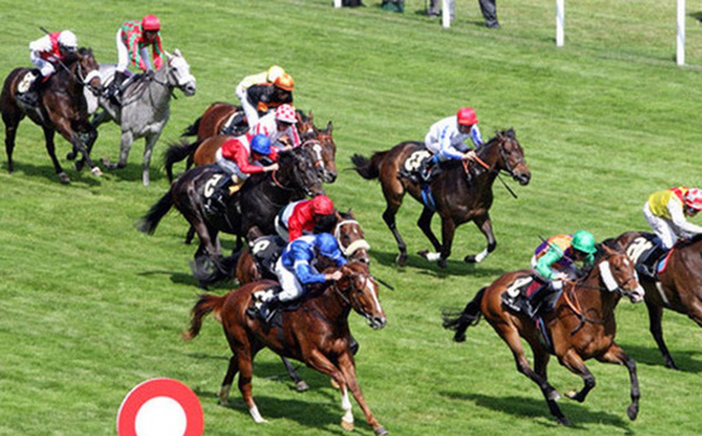 Đà Nẵng: Dự án trường đua ngựa trị giá 200 triệu USD