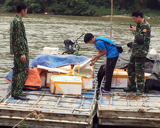 Quảng Ninh: Bắt giữ và tiêu hủy hơn 1 tấn cá đông lạnh không rõ nguồn gốc