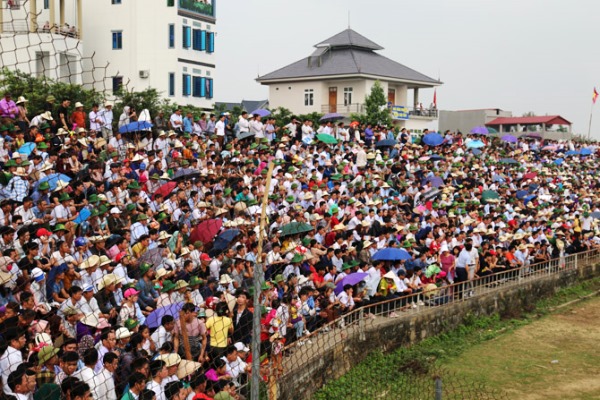 32 “ông Cầu” tranh tài tại lễ hội chọi trâu cổ nhất Việt Nam - Hình 2