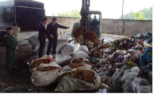 Hải quan Quảng Ninh: Bắt giữ 15 vụ buôn lậu, vận chuyển trái phép hàng hóa trong dịp Tết 2019