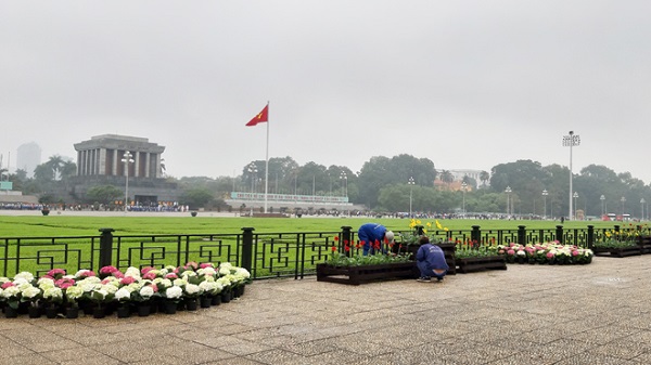 Đường phố Hà Nội rợp cờ hoa, cây cảnh chào đón Hội nghị Thượng đỉnh Mỹ - Triều Tiên lần 2 - Hình 7