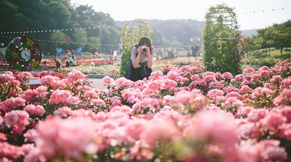 Lễ hội Hoa hồng Bulgaria 2019 sẽ diễn ra đầu tháng 3 tại Hà Nội