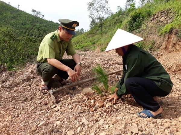 Bắc Giang: Trồng mới 983ha rừng bảo vệ môi trường - Hình 1