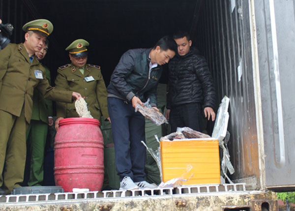Lạng Sơn: Thu giữ trên 11 tấn nội tạng động vật không có nguồn gốc - Hình 1