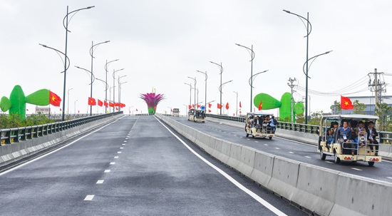 Cầu vượt mang biểu tượng hoa xương rồng 600 tỷ đồng ở Quảng Nam - Hình 2