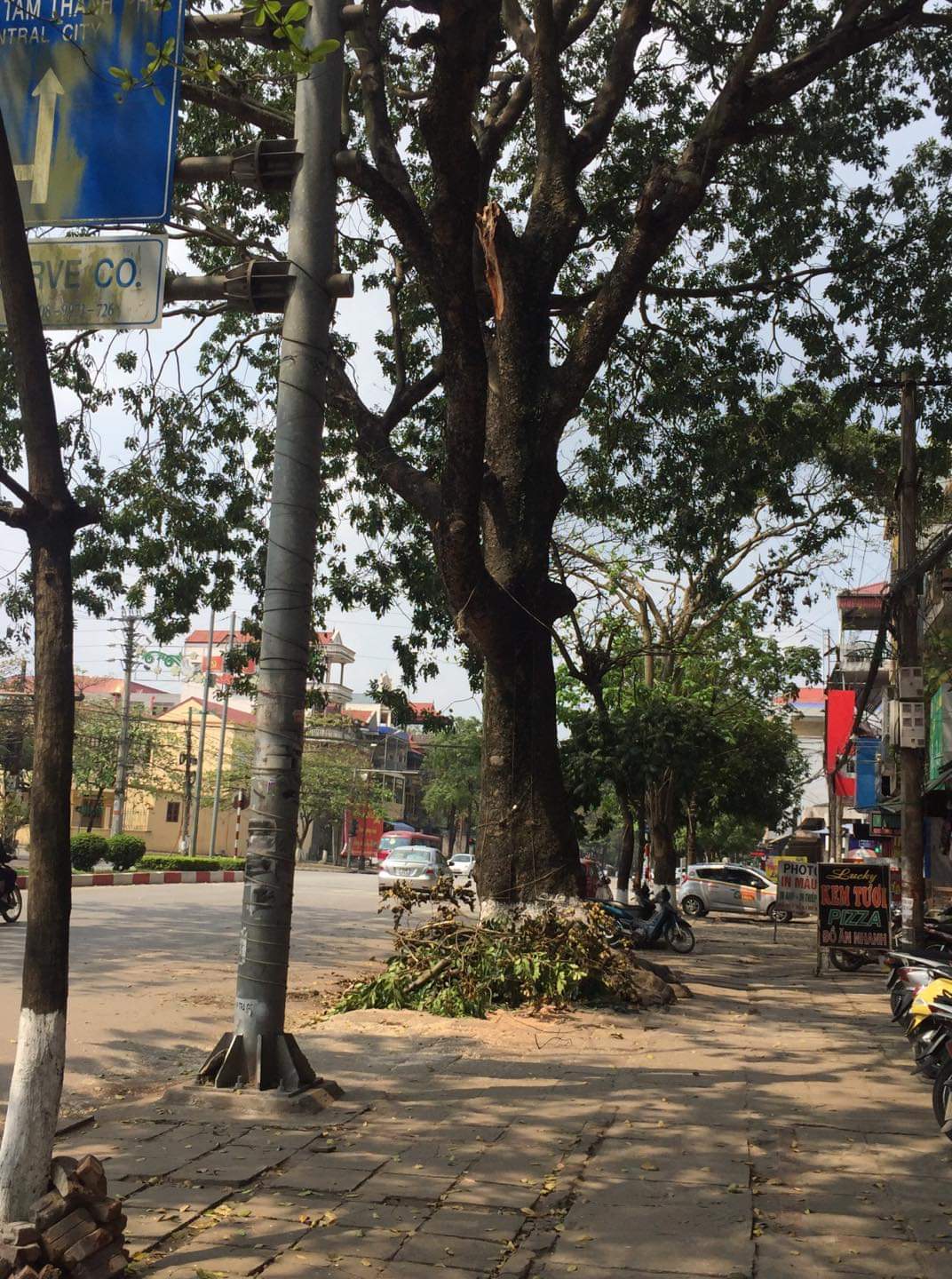 Thái Nguyên: Cảnh báo nguy cơ cây xanh gẫy, đổ trong mùa mưa bão - Hình 2