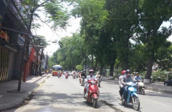 Dự báo thời tiết ngày 5/3/2019: Bắc Bộ sáng có mưa, trưa chiều hửng nắng