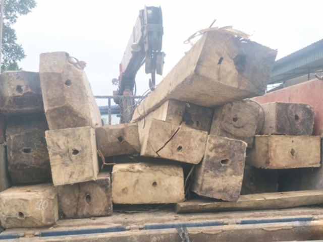 Kiểm lâm Hà Tĩnh: Phát hiện, xử lý 261 vụ vi phạm, nộp ngân sách hơn 2,1 tỷ đồng