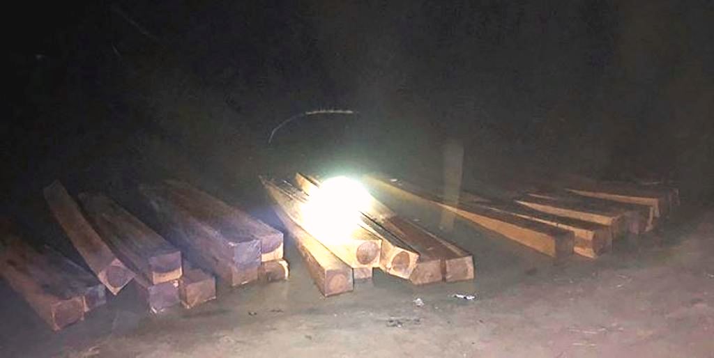 Quảng Nam: Tạm giữ 50 phách gỗ lậu trên sông Vu Gia