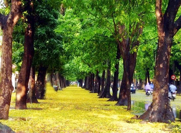 Những địa điểm hẹn hò cực kỳ lãng mạn ngày 8/3 ở Hà Nội