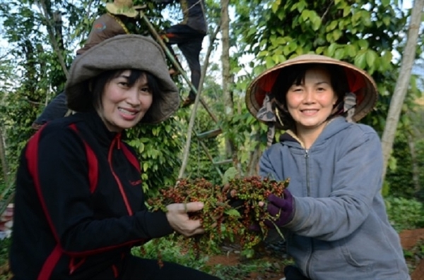 Giá nông sản ngày 6/3/2019: Giá cà phê, tiêu đồng loạt tăng