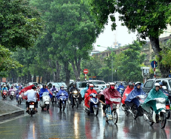 Dự báo thời tiết ngày 7/3/2019: Ảnh hưởng của không khí lạnh, Bắc Bộ mưa rét