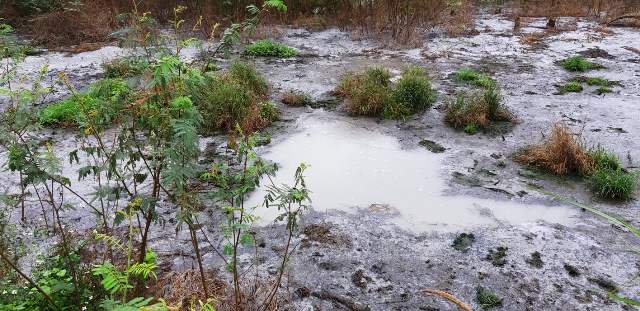 Kết luận kiểm tra Nhà máy Chế biến tinh bột sắn Như Xuân (Thanh Hóa ): Liệu có “bổn cũ, soạn lại”?