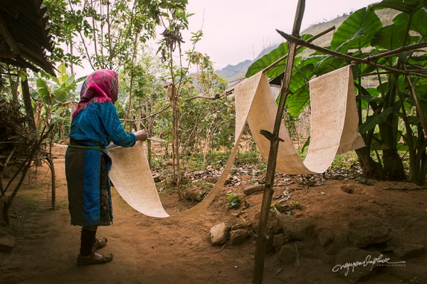 Phụ nữ H’Mông và nghề dệt vải lanh truyền thống ở xã Lùng Tám - Hình 5