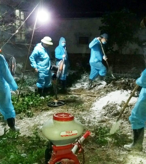 Thanh Hóa: Phát hiện ổ dịch tả lợn châu Phi thứ hai