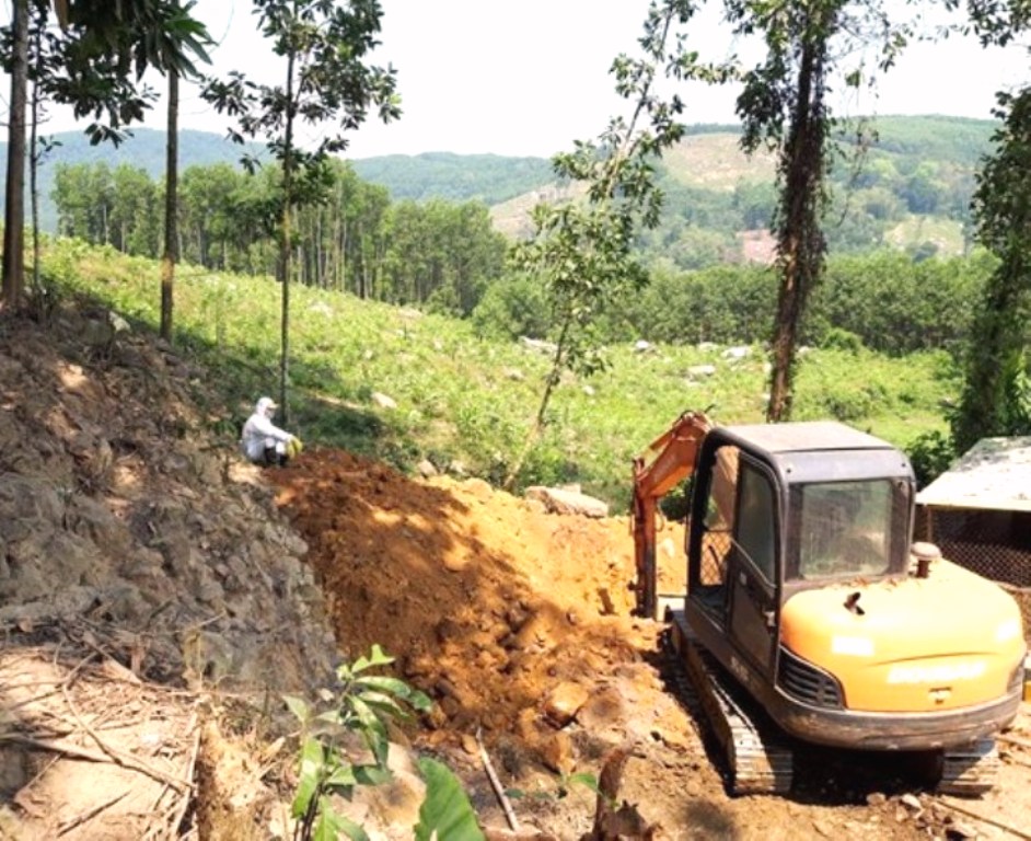 Quảng Nam: Tiêu hủy hơn 5.000 con gà tại 2 ổ dịch cúm A/H5N6