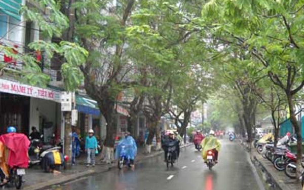 Dự báo thời tiết ngày 8/3/2019: Miền Bắc trời rét, có nơi mưa nhỏ