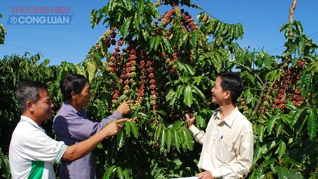 Hội thảo phát triển cà phê đặc sản Việt Nam – Tìm giải pháp để nâng cao chất lượng - Hình 1
