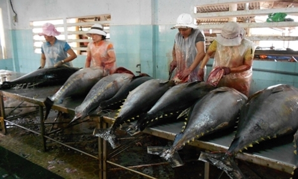 Giá trị xuất khẩu thuỷ sản đạt 1,11 tỷ USD trong 2 tháng đầu năm 2019