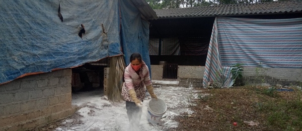 Bắc Ninh: Đầu tư hơn 3,6 tỷ đồng phòng chống dịch tả lợn châu Phi