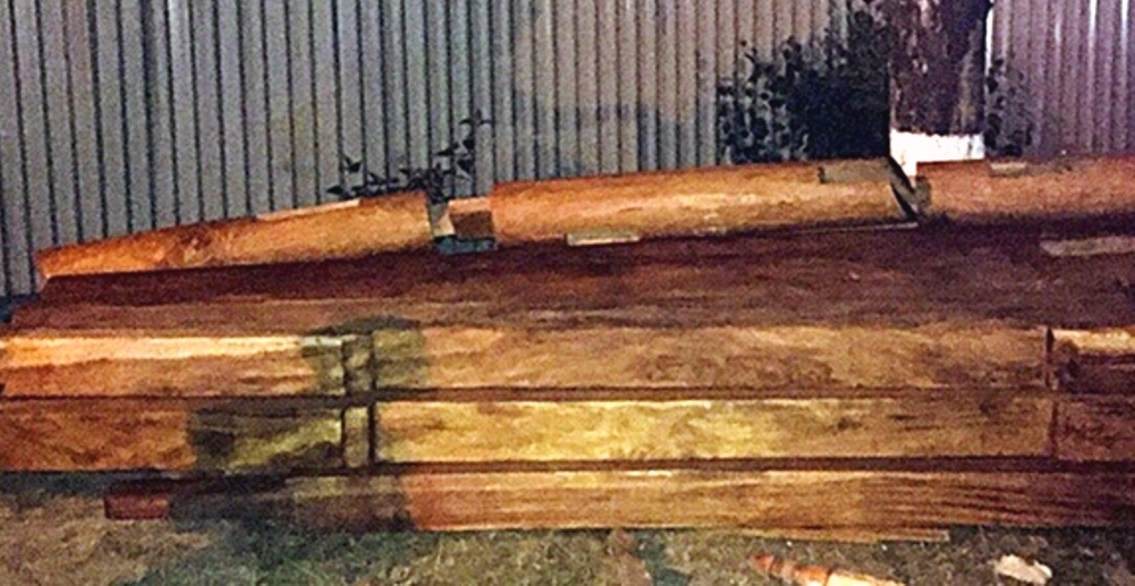 Quảng Nam: Phát hiện vụ tàng trữ gỗ lậu và động vật hoang dã trái phép