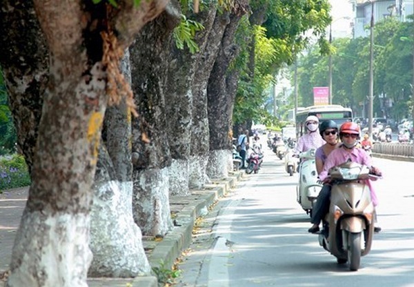 Dự báo thời tiết ngày 13/3/2019: Bắc Bộ có mưa vào sáng sớm, trưa trời hửng nắng