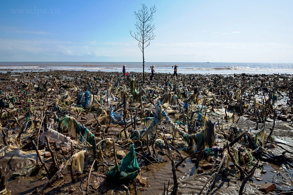 6879 km theo dấu chân rác thải nhựa của nhiếp ảnh gia Việt - Hình 4