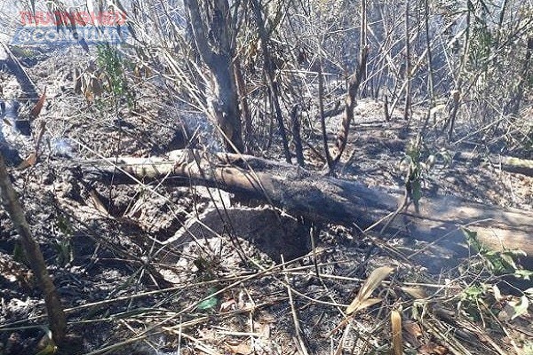 Đăk Đoa (Gia Lai): Huy động hàng trăm người chữa cháy rừng - Hình 2