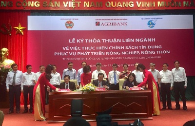 Agribank tiếp sức nông sản Việt ra thế giới - Hình 3