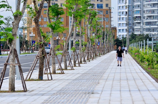 Hà Nội ban hành “Thiết kế mẫu hè đường đô thị trên địa bàn thành phố” - Hình 1