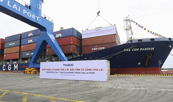 THACO xuất khẩu 30 container chuối từ cảng Chu Lai - Hình 1