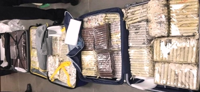 Đà Nẵng: Tạm giữ hơn 3.000 điếu thuốc xì gà Cuba - Hình 1