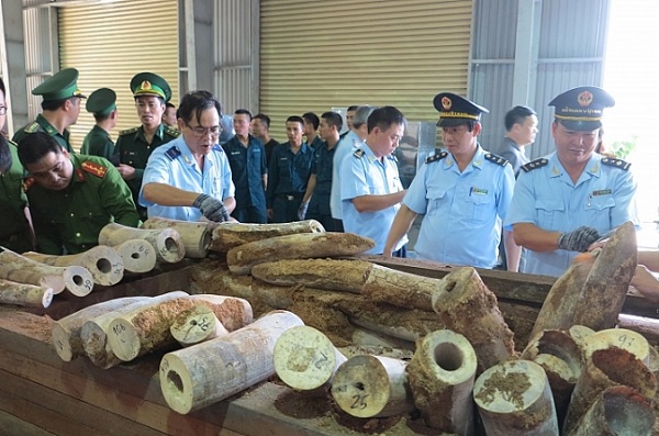 Hải quan Đà Nẵng: Bắt giữ lô hàng khủng hơn 9,1 tấn nghi ngà voi - Hình 1