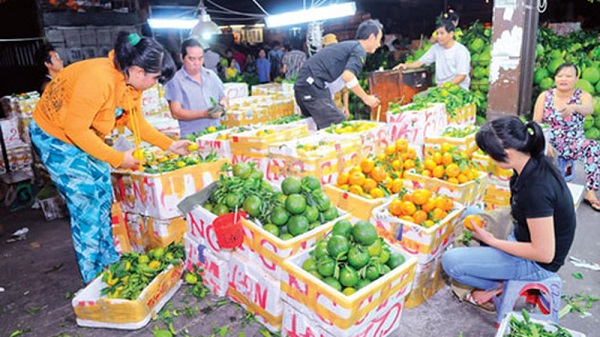 Phê duyệt Văn kiện DA Khảo sát, nghiên cứu khả thi DA xây dựng chợ đầu mối quốc tế nông sản