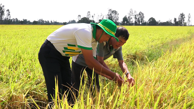 Cùng nhà nông chủ động ứng phó thời tiết khắc nghiệt