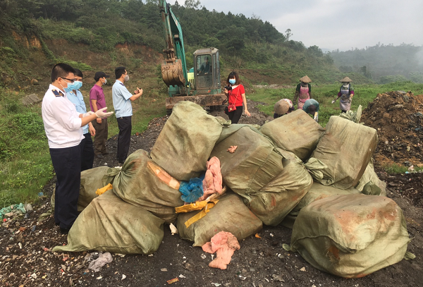 Quảng Ninh: Tiêu hủy 1.620 kg nầm lợn đông lạnh - Hình 1